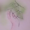 Ilustrace