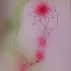 Ilustrace