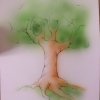 Ilustrace