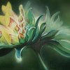 Akryl, airbrush
